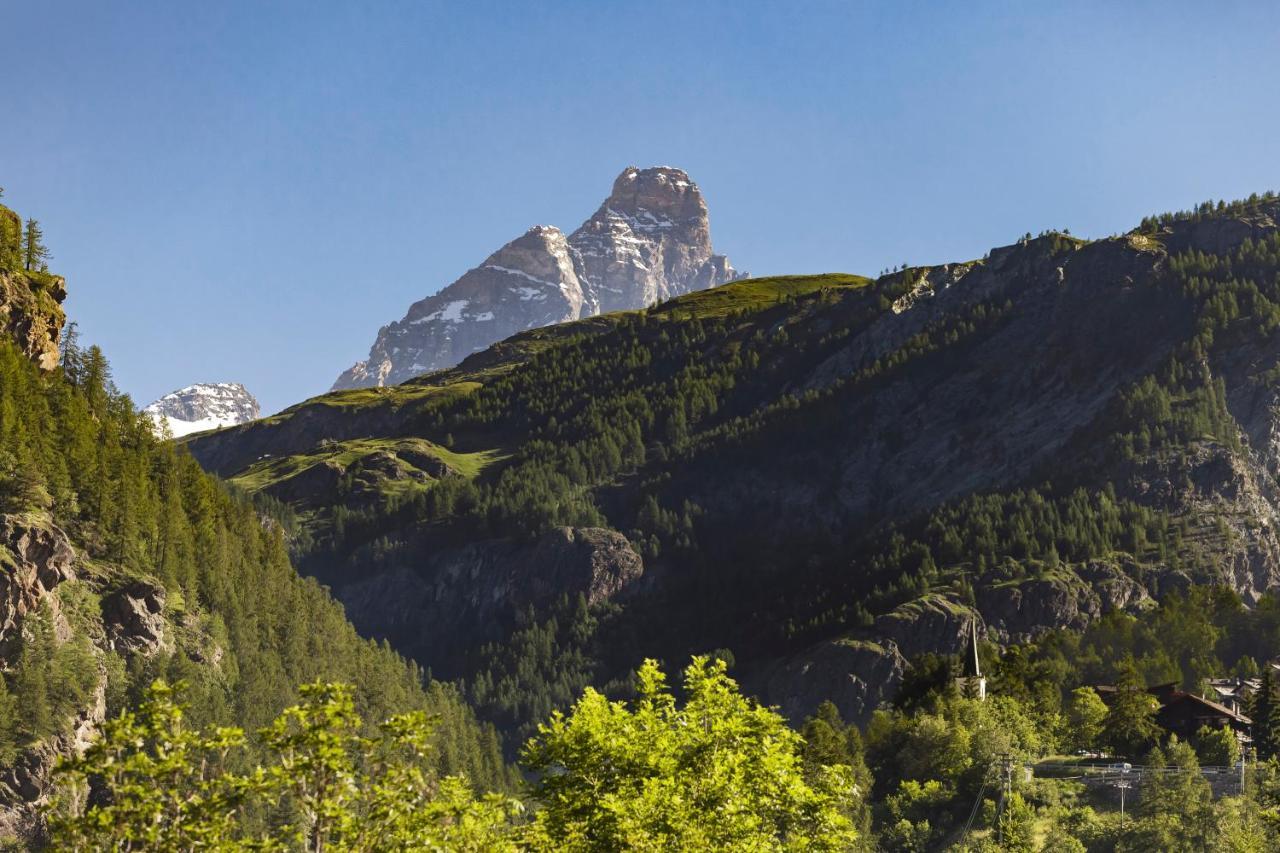 Hellochalet - Maison Rue De La Neige - Family Ski Holiday Walking Distance Skirun And Gondola Valtournenche Exterior foto